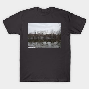 Winter Stillness T-Shirt